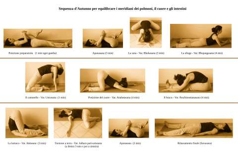 Yin Yoga Autunno: Meridiano dei polmoni, il cuore e gli intestini.